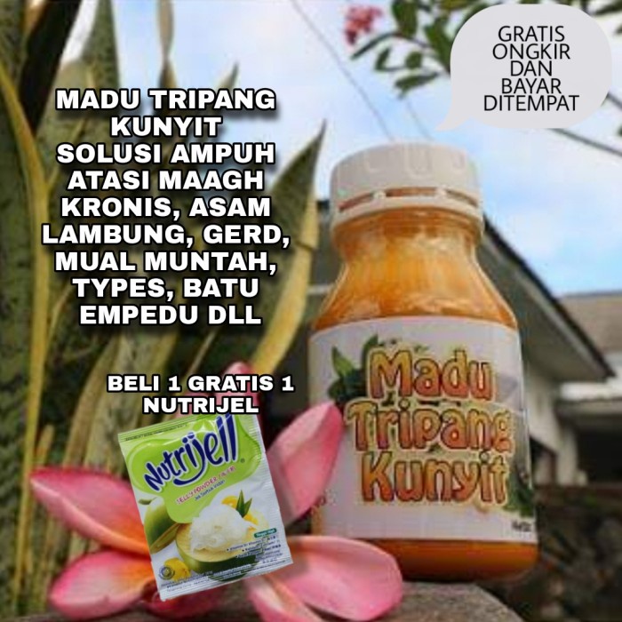

Madu Tripang Kunyit Obat Magh Akut