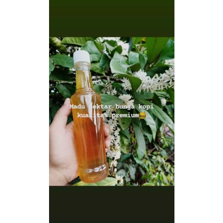 

madu asli siap antar.. seriusan