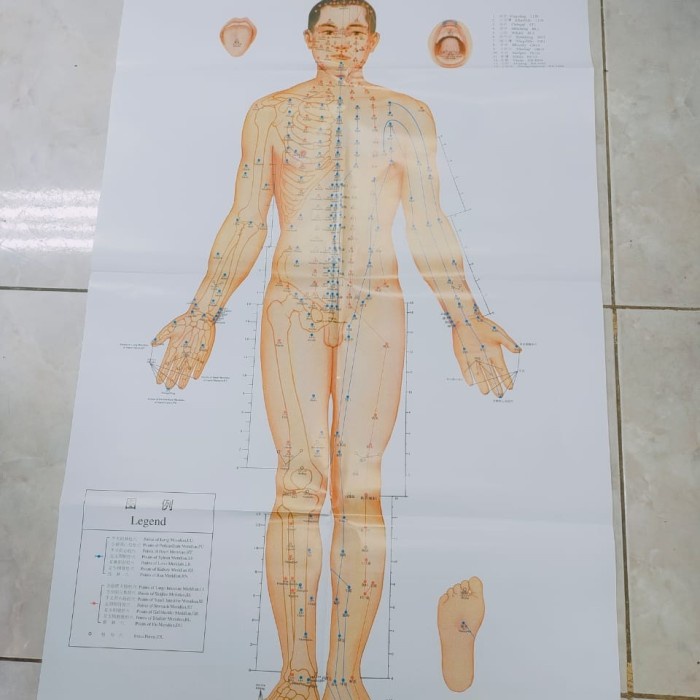 Gambar Titik Akupuntur Laki-Laki Erin MI