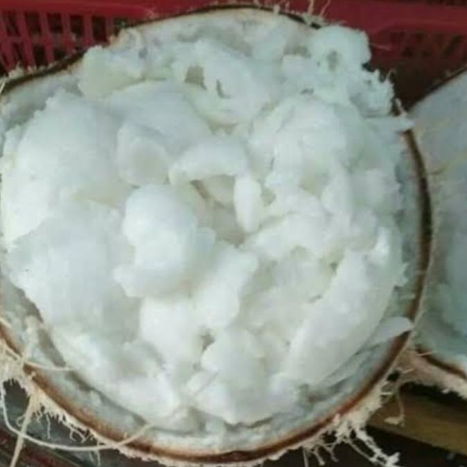 

okt Daging Kopyor Frozen Beku 500gr