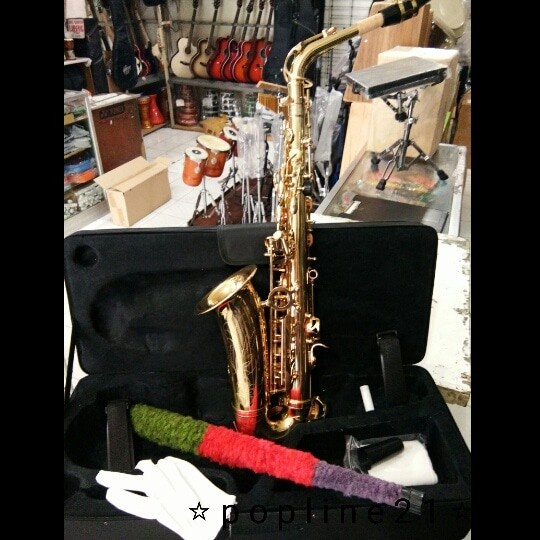 saxophone alto paladin lisaajah1516