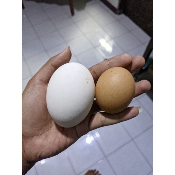 knalpot cms gen 1 ori