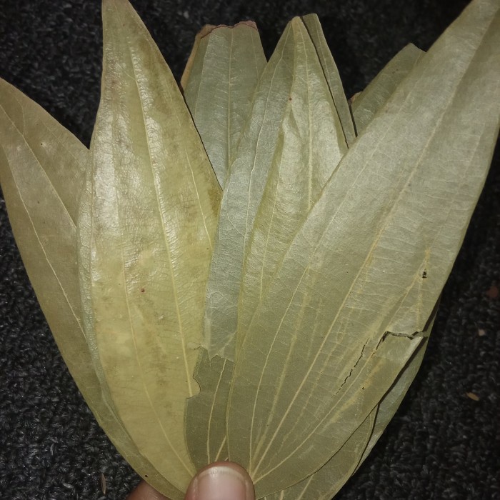

Open DS] (10 lembar) tez patha - Bayleaf - bay leaf - salam