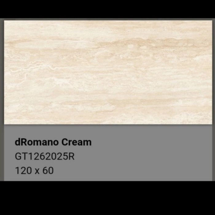 Roman Granit Gt1262025R Dromano Cream 60X120