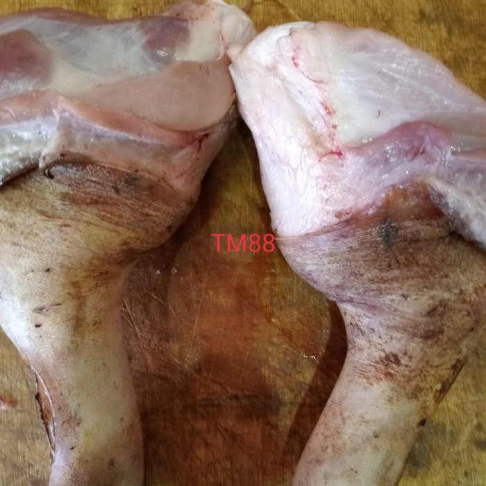 

KAKI BABI DEPAN/CUKIOK/CU KIOK