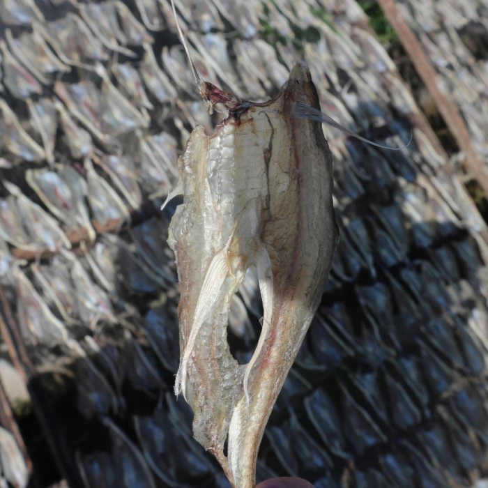 

Ikan Asin Tipis Tarakan 1Kg Termurah