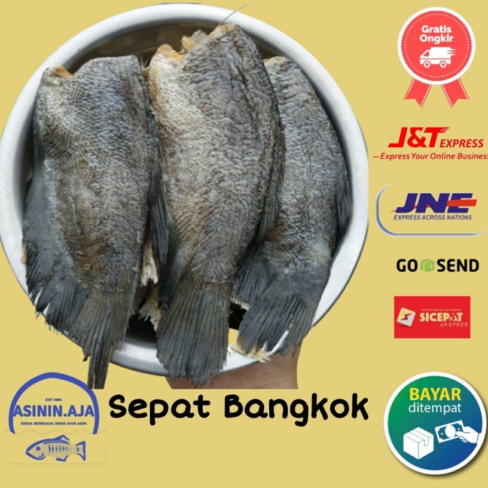 

Ikan Asin Sepat Siam 1Kg Bangkok Besar