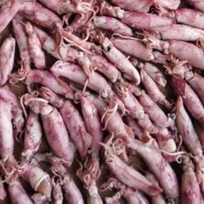 

Cumi Asin Kering 500G