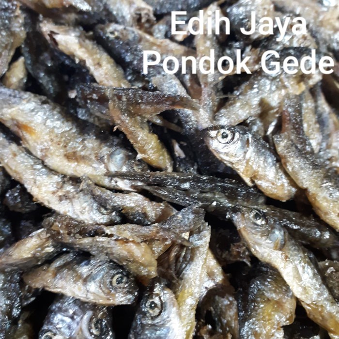 

Ikan Bilih Padang/Bilis Singkarak Netto 1 Kg