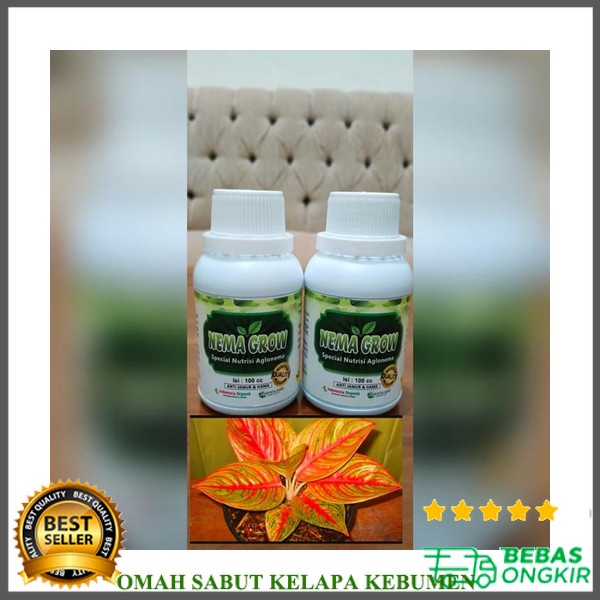 Nema Grow Nutrisi Vitamin Aglonema Anggrek