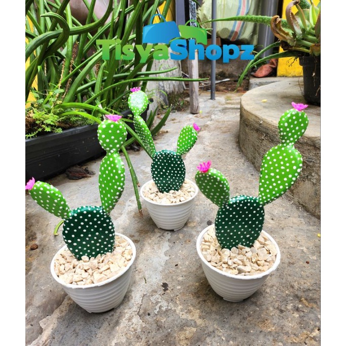 Kaktus Mickey / Kaktus Hiasan Plastik + POT