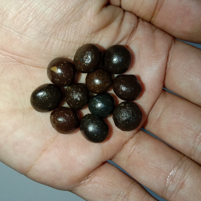 [Baru] Monta Bassi Asli Original Kualitas Super Full Proteksi Media Kejadugan Limited