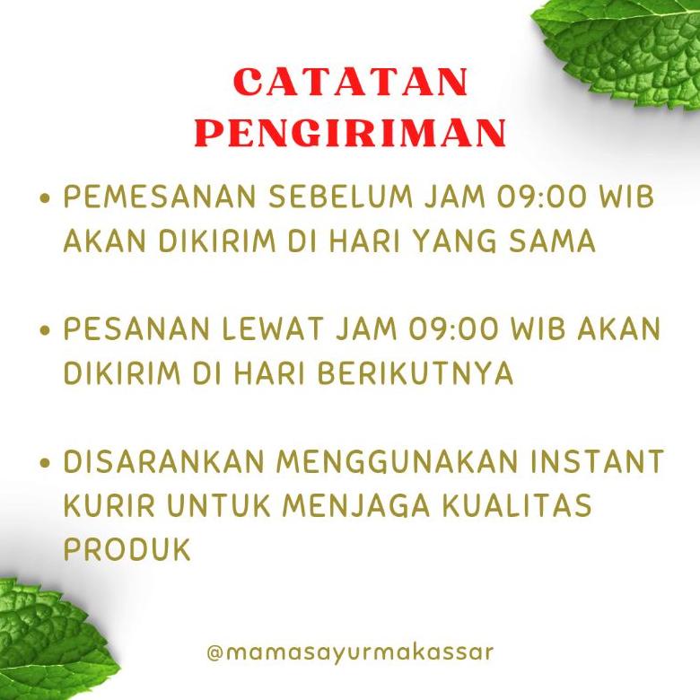 

Special - Jamur tiram segar per pack .,
