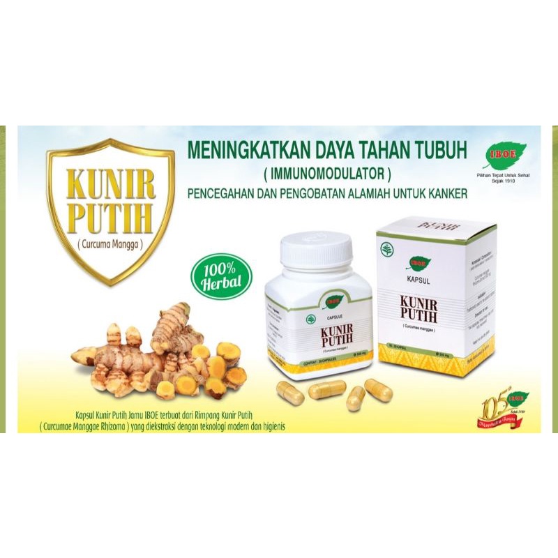 

Jamu IBOE 1 botol Kapsul Kunir Putih (Kunyit Putih, Temu Putih) Obat Kanker 30 kapsul