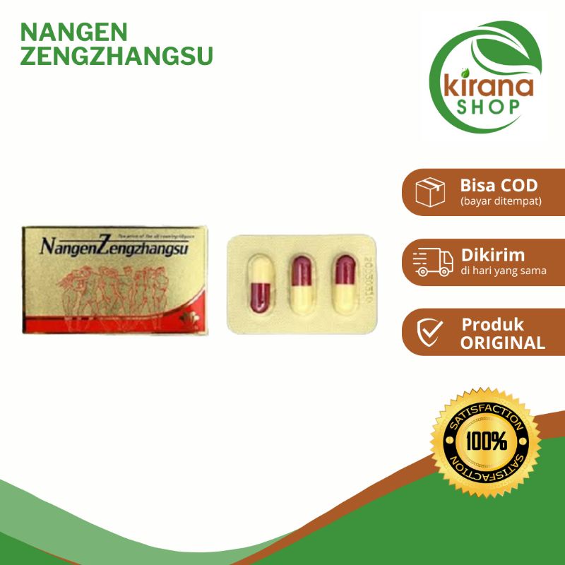 Nangen Zengzhangsua Original Obat Kuat Herbal Pria