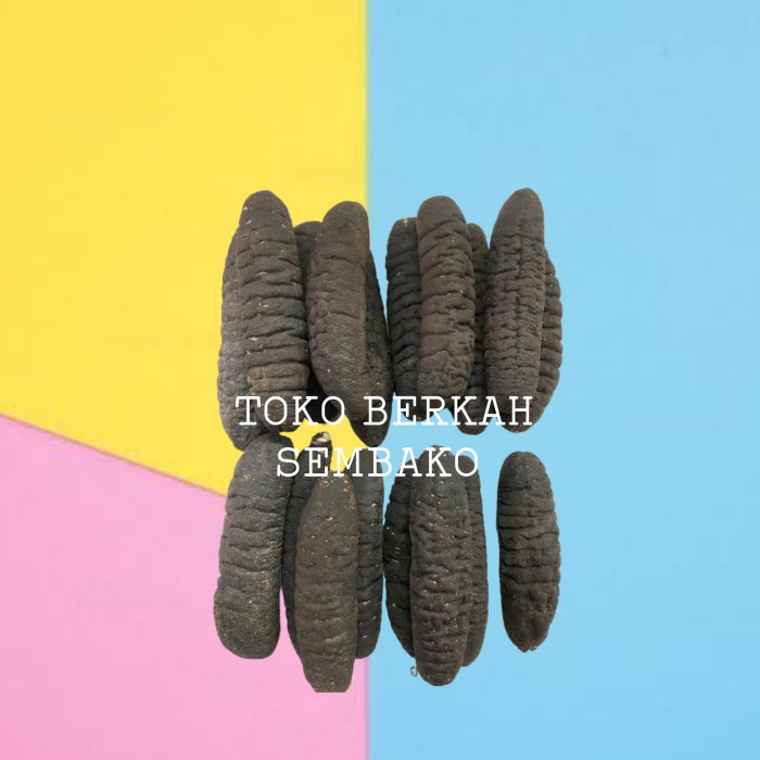 

Haisom Asli Belitung isi 40pcs / Teripang / Sea Cucumber / Lintahlaut