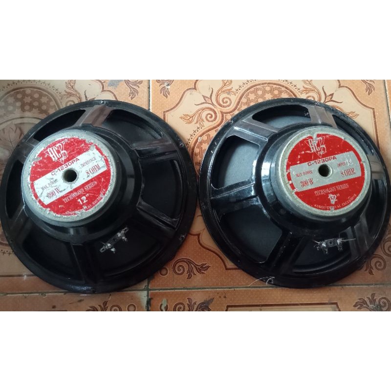 Speaker 12 in 1238