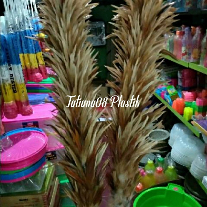 Danil Kemoceng Bulu Ayam Jumbo