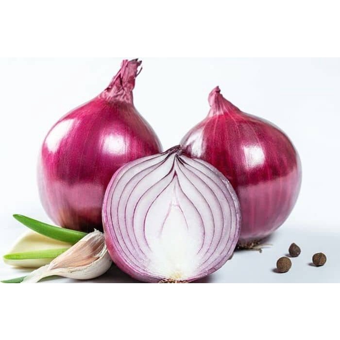 20 BUTIR BIJI / BENIH BAWANG BOMBAY MERAH ONION RED BURGUNDY