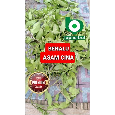 

Benalu Asam Cina Kering 250 Gram