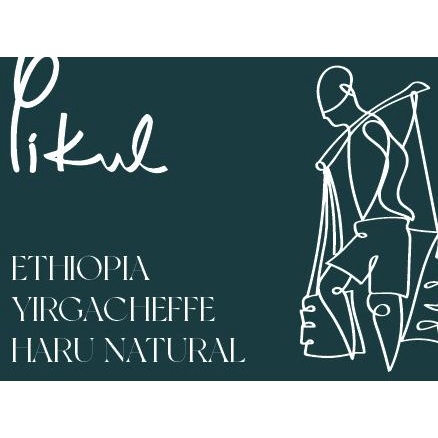 

Hitss!! Biji Kopi Arabika Single Origin Ethiopia Yirgacheffe Haru Natural