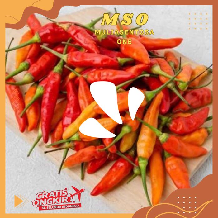 

CABAI RAWIT MERAH 140 - 150 GR ( FRESH FIRE CHILLIES ) PRODUK KUALITAS BERKELAS !!