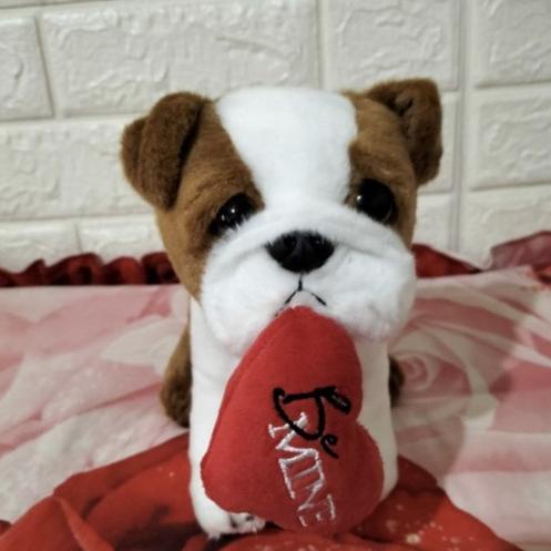 Boneka Hewan Anjing Bulldog (Bulldog Stuffed Animal Doll)