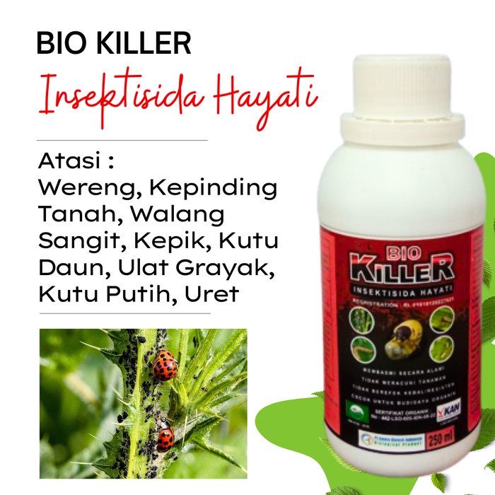 Pestisida Pembasmi Gurem Siput, Pestisida Obat Hama Tanaman Gurem Buah