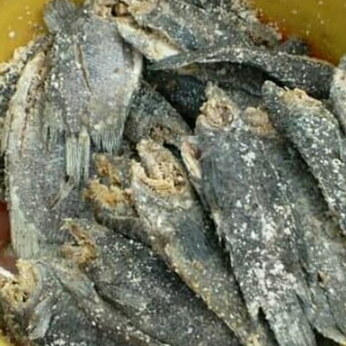 *#*#*#] iwak wadi papuyu