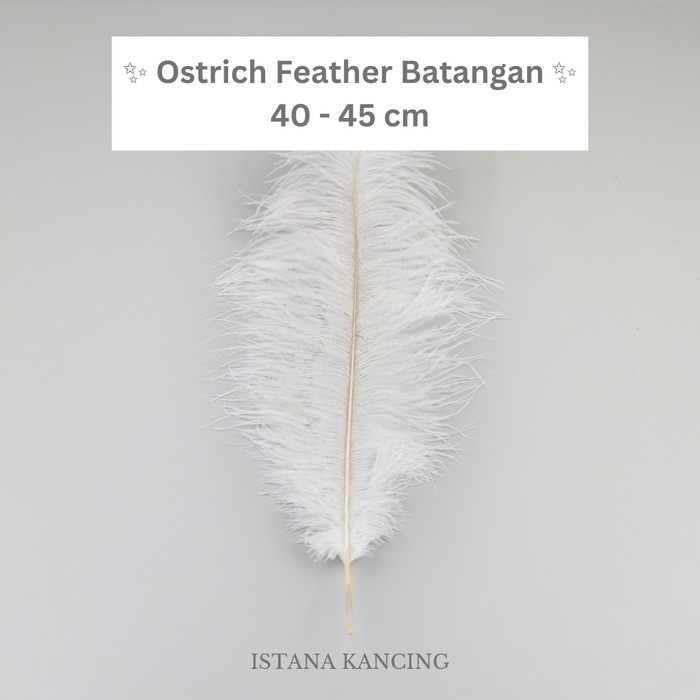 

Ostrich Feather Batangan Bulu Ayam Halus Putih Hitam Rangkaian