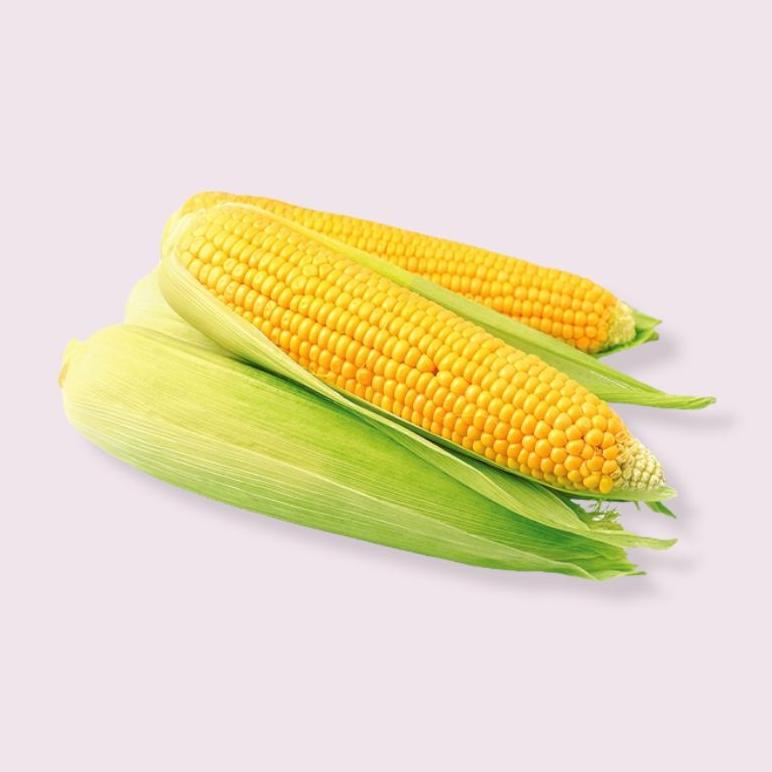 

Ready Jagung Manis per satuan