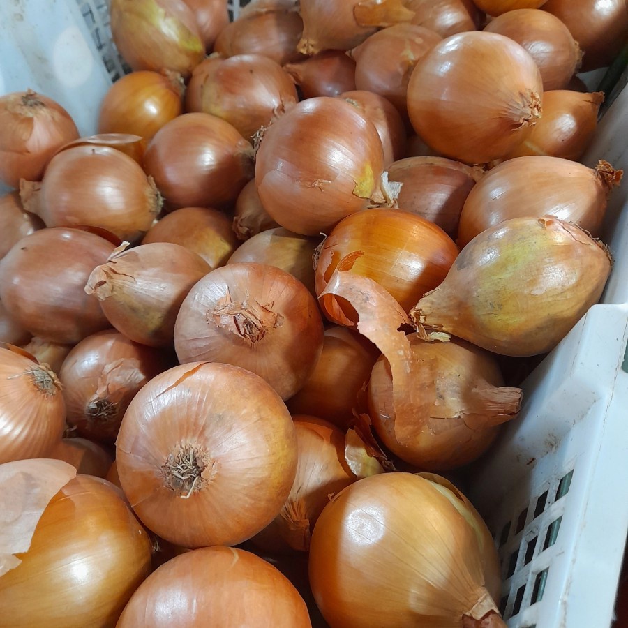 

Bawang Bombay Besar (60/80) -1000 gram fresh