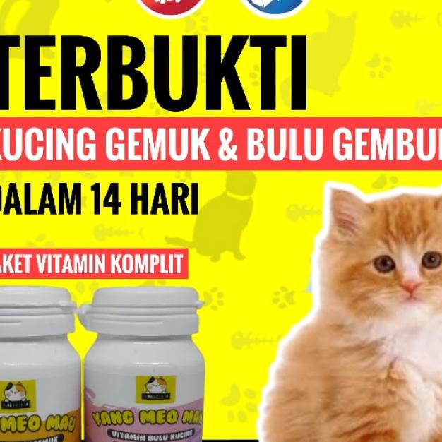 Paket Vitan Kucing Bulu Gembul - Vitan Kucing