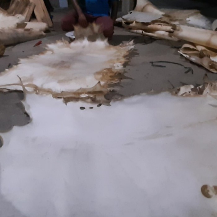 Kulit Kambing Untuk Gendang Bedug Bas Hadroh