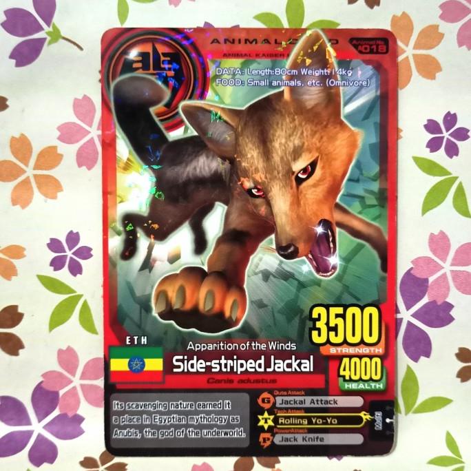 Animal kaiser normal side striped jackal evo 2