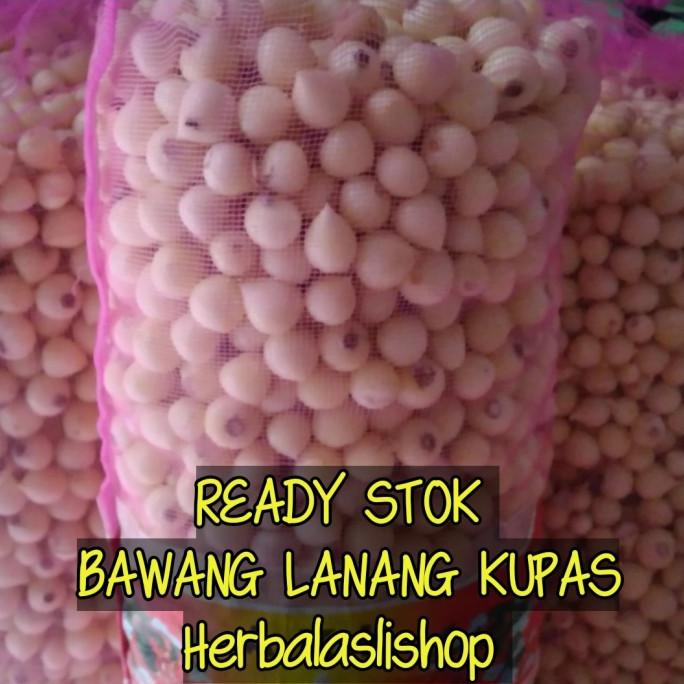 

bawang putih tunggal kupas bersih 1kg bawang lanang