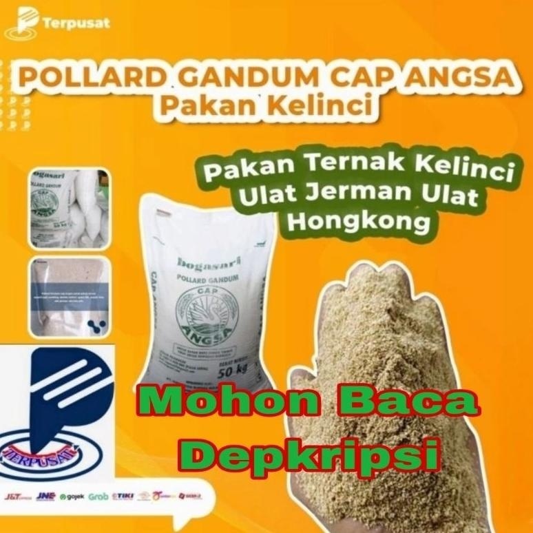 New Pollard Gandum Cap Angsa perkarung/ 50Kg (jahitan pabrik) Makanan Ternak Pakan Ternak Polar