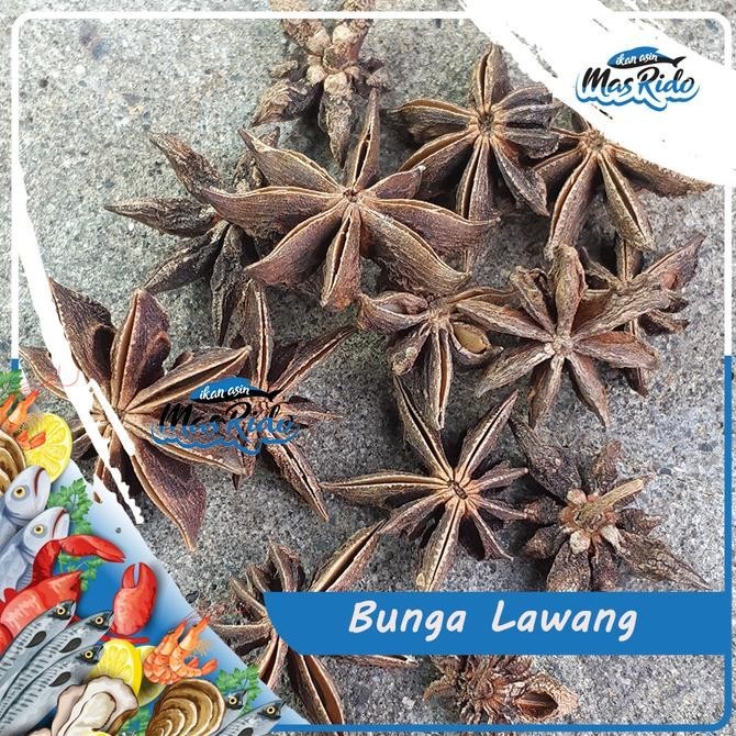 

Termurah Bunga Lawang / Bunga Lawang Pekak / Rempah Bunga Lawang Premium