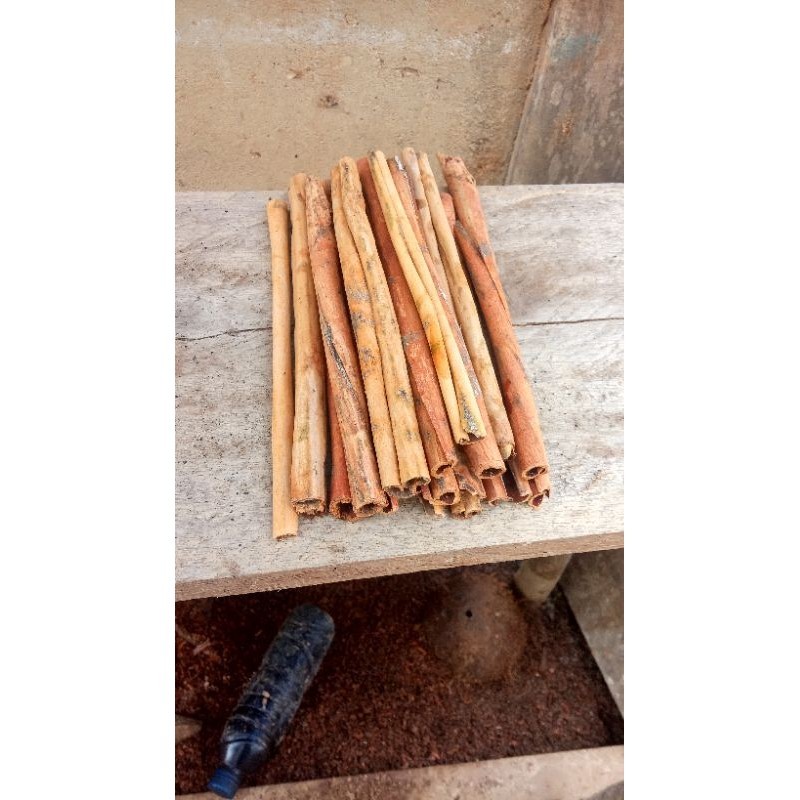 

KULIT KAYU MANIS MURNI ASLI 1KG OBAT DAN BUMBU MASAK