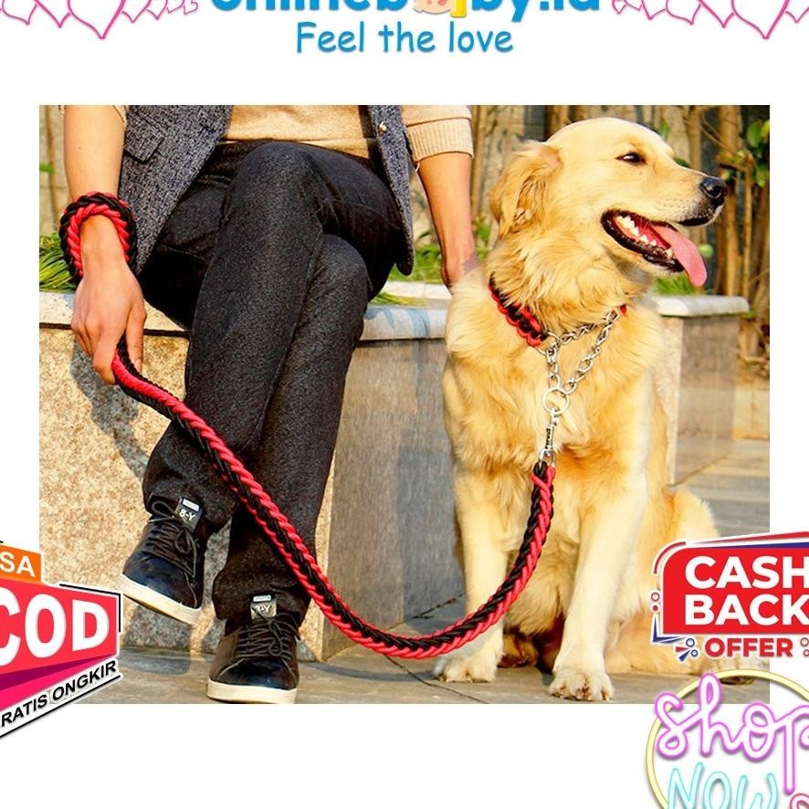 Dog Walking Rope Nylon Tali Tuntun Anjing Besar Sedang Kecil Pitbull Golden Dog Pet Leash Kalung Leh