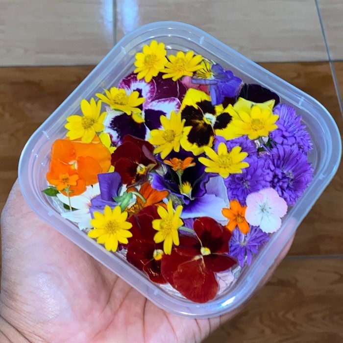 

HARGA DISKON Mix Edible Flowers Fresh 20 pcs
