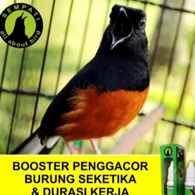 kud POWER BOOSTER SEMPATI VITAMIN BURUNG MURAI PLECI KENARI