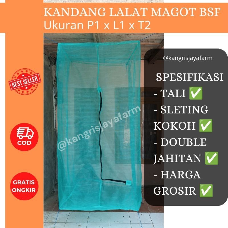 PROMO KANDANG Kandang magot lalat bsf maggot jaring kasa hijau