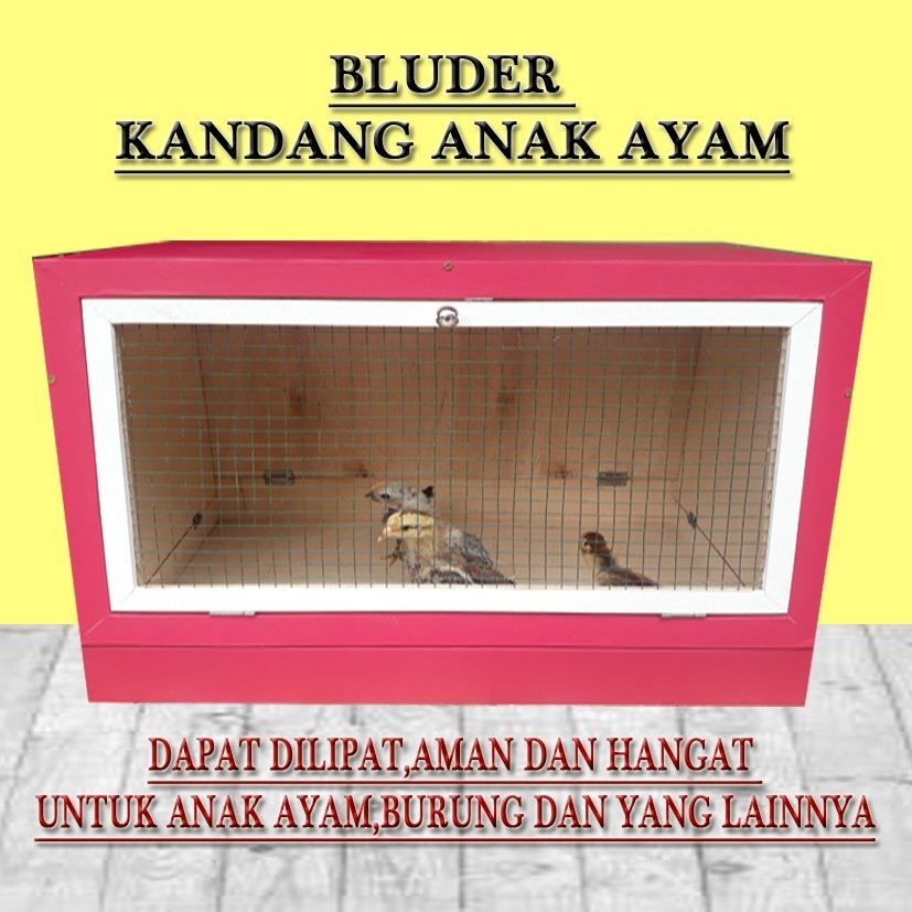 PROMO KANDANG kandang anak ayam inkubator