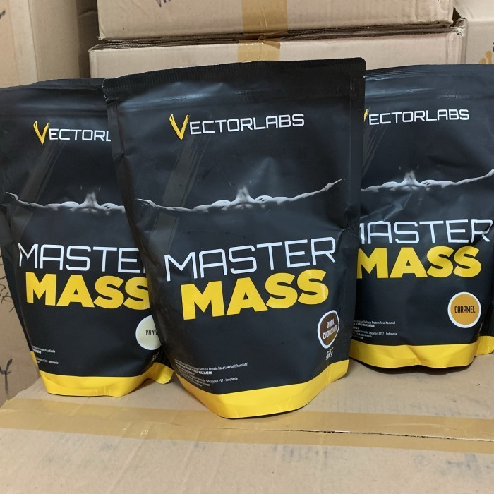 Vectorlabs master mass 900 gram suplemen fitness gainer otot gym bulk