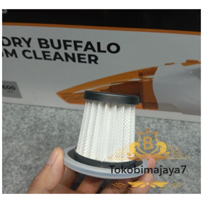 Hepa filter vacuum maximus Buffalo