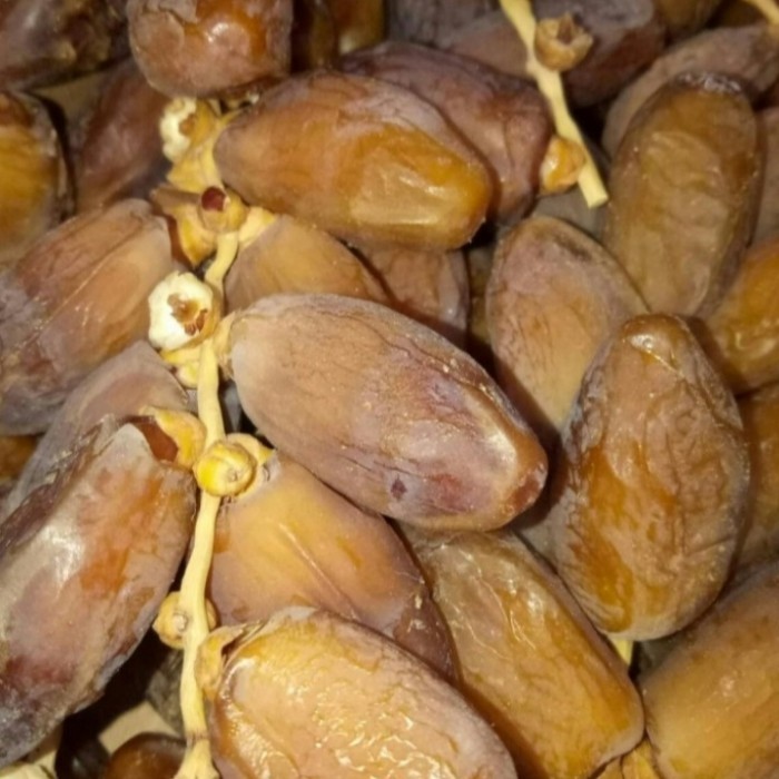 

Kurma - Kurma Tunisia Tangkai 1Kg Palm Fruit / Tangkai Curah Murah