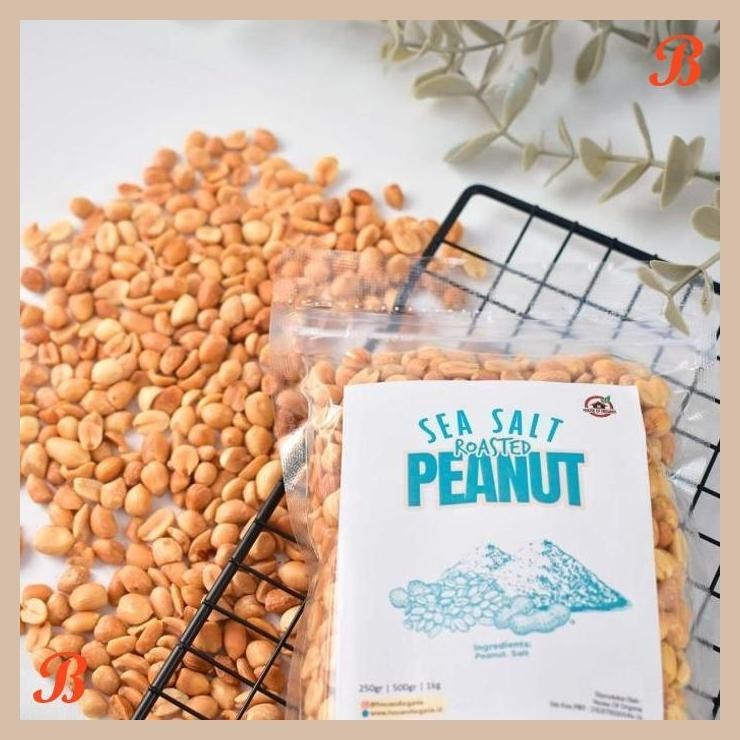 

| HOF | HOUSE OF ORGANIX SEA SALT ROASTED PEANUT 500 GR