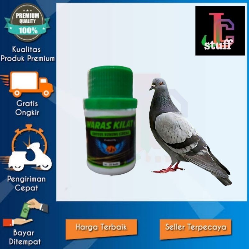 PIL WARAS KILAT BURUNG DARA MERPATI JAMU HERBAL BURUNG CIDERA LUKA