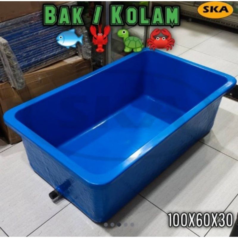 Bak ikan/bak kura-kura/kolam ikan / bak berbahan fiber glass